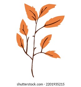 autumn branch leaves icon isolated