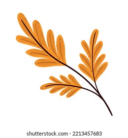 autumn branch leaves icon isolated