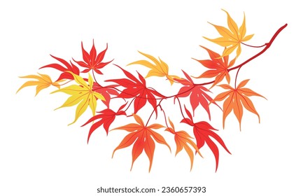 Autumn branch on a white background. The time of leaf fall. The red leaves of the Japanese maple fall down, fluttering in the wind. Vector illustration.