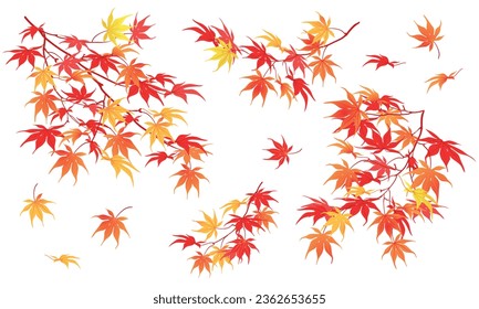 Autumn branch on a white background. The time of leaf fall. The red leaves of the Japanese maple fall down, fluttering in the wind. Vector illustration.