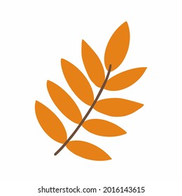 Autumn branch of orange tree. Table in style of doodles. Vector icon.