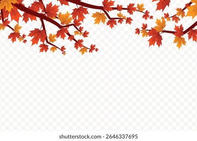 Autumn branch with red and yellow maple leaves on transparent background illustration. Perfect for seasonal projects, educational materials, and nature-themed graphics.