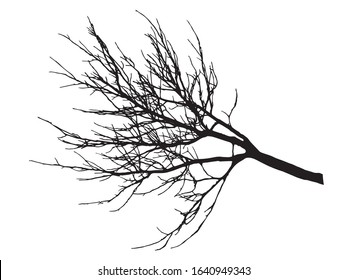 Autumn branch tree without leaves, silhouette. Vector illustration.