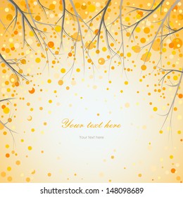 autumn branches
