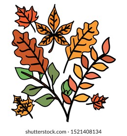 autumn branches with leafs isolated icon vector illustration design