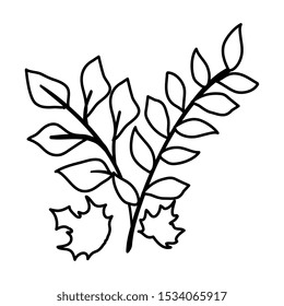 autumn branches with leafs isolated icon vector illustration design