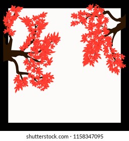 autumn branches of a maple tree on a white background