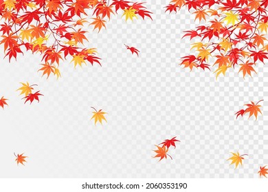 Autumn branches transparent background  The time leaf fall  The red leaves the Japanese maple fall down  fluttering in the wind  Vector illustration 