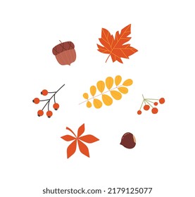 Autumn branches set. Cold season elements and symbols, fall. Collection of stickers for social networks. Forest and red, orange foliage. Cartoon flat vector illustrations isolated on white background