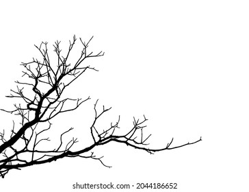 Autumn branches of trees front. Dry branches curly rustic plants silhouette isolated on a white background abstract. Branch tree woods for decorative ornament, elements of Halloween. Vector design