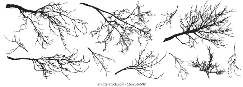 Autumn branches of trees, silhouettes of bare branches. Vector illustration. - Shutterstock ID 1652366509