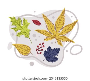 Foliage brillante de otoño con composición de vectores de color de hoja diferente