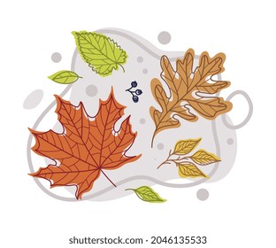 Autumn Bright Foliage with Different Leaf Color Vector Composition