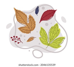 Brillante Herbstblätter mit unterschiedlicher Leaf-Farbvektorkomposition