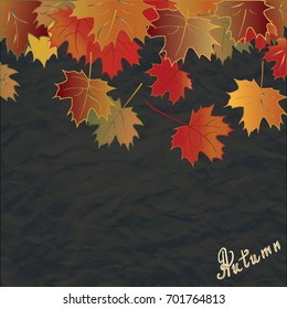 Autumn bright leaves - compressed paper black background - hand inscription - Autumn - art creative abstract modern vector illustration