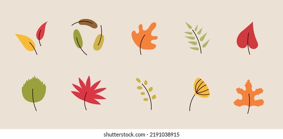 Otoño hojas brillantes, aisladas en fondo blanco. Simple caricatura de estilo plano. Ilustración vectorial aislada. Diseño para pegatinas, logotipo, web y aplicación. Colección de hojas doradas de otoño. Herbario