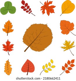 autumn brown color leaf icon in a collection with other items