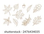 Autumn brown outline doodle set with leaves. Monochrome botanical contour stickers. Vector clipart of sketchy drawings isolated on white background