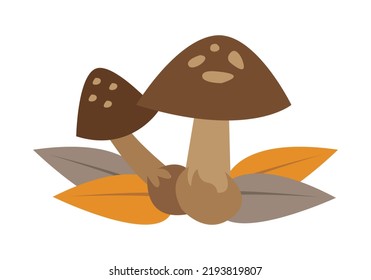 Autumn brown two mushroom icon.
