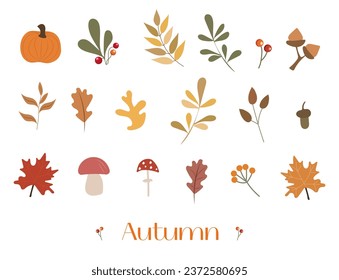 Autumn bundle of cute and cozy design elements. Set of fall twigs with leaves, foliage, berries, pumpkins, and mushrooms. Colored flat vector illustration isolated on white background