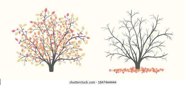 Autumn bush in two versions with leaves and without leaves on a light background