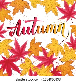 autumn calligraphy colorful text vector illustration with red yellow leaves on white background 