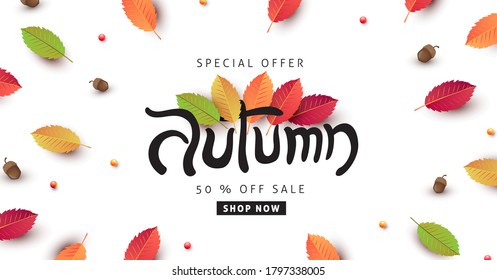 Autumn calligraphy with leaves and acorns design. Poster banner background with autumn leaf