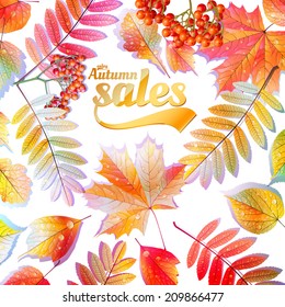 Autumn Calligraphy sale on detailed leafs. EPS10