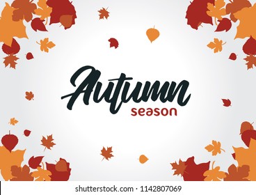 Autumn calligraphy. Seasonal lettering. background with autumn leaves illustration. card invitation design. banner design. web banner template. vector eps 10 illustration