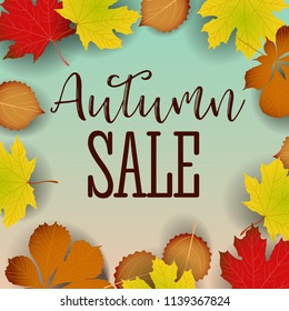 Autumn calligraphy. Seasonal lettering.web banner template.vector illustration