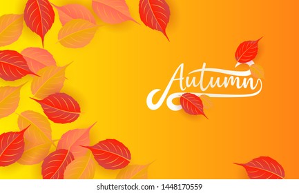 Autumn calligraphy. Seasonal lettering.web banner template.vector illustration