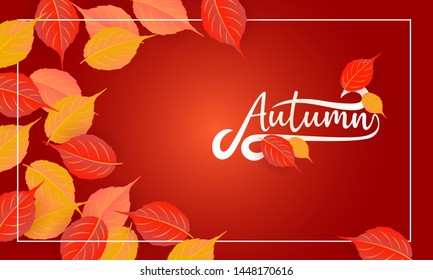 Autumn calligraphy. Seasonal lettering.web banner template.vector illustration