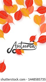 Autumn calligraphy. Seasonal lettering.web banner template.vector illustration
