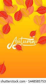 Autumn calligraphy. Seasonal lettering.web banner template.vector illustration