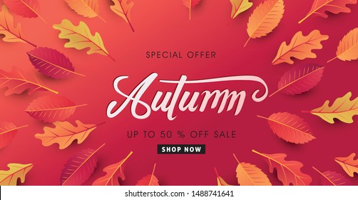 Autumn calligraphy. Seasonal lettering.web banner template.vector illustration