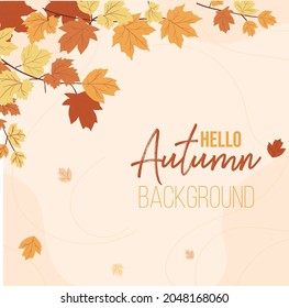 Autumn calligraphy. Seasonal lettering.web banner template. vector illustration