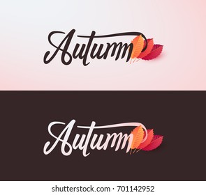 Autumn calligraphy. Seasonal lettering.vector illustration