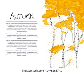 Autumn card with birch trees over white background, vector card with copy space