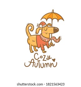 Autumn card with cute cartoon dog. Puppy in a coat and  hat with umbrella. Illustration for children. Vector outline image no fill.