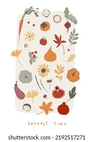 Autumn card with cute design elements harvest time collection. Set of fall leaves, foliage, berries, mushrooms, pumpkins and vegetables. Cartoon flat vector illustration isolated on white background.