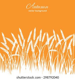 Autumn card with grass and spikelets on orange background. Perfect  cards for any other kind of design, birthday and other holiday