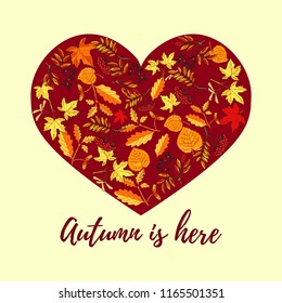 Autumn card with hand drawn colored autumn leaves. Vector illustration