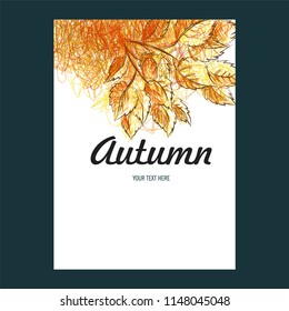Autumn card, hand drown yellow leaves isolated on white background, vector  