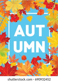 Autumn card with leaves. Vector illustration.
