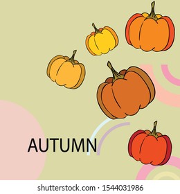 Autumn card, orange pumpkins, vector background. Halloween illustration. October harvest. Nature design.