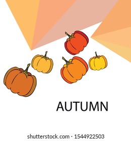 Autumn card, orange pumpkins, vector background. Halloween illustration. October harvest. Nature design.