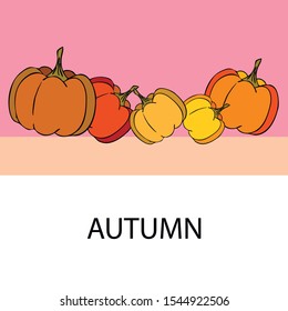Autumn card, orange pumpkins, vector background. Halloween illustration. October harvest. Nature design.