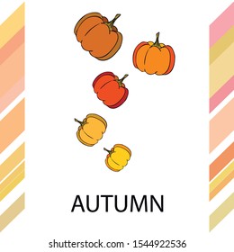 Autumn card, orange pumpkins, vector background. Halloween illustration. October harvest. Nature design.