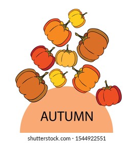 Autumn card, orange pumpkins, vector background. Halloween illustration. October harvest. Nature design.