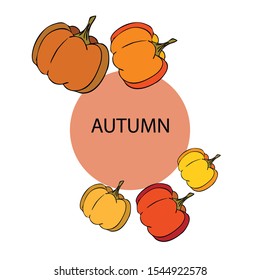 Autumn card, orange pumpkins, vector background. Halloween illustration. October harvest. Nature design.